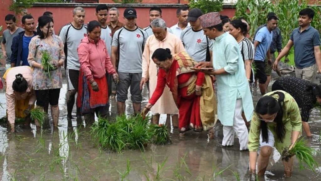देशभर, मानिसहरूले राष्ट्रिय धान दिवस मनाउँछन्