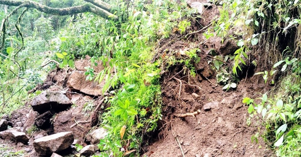 पैह्रोले यातायात अवरुद्ध