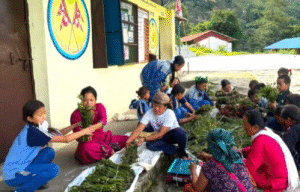 निउरो टिप्दै, तरकारी फलाउँदै : कक्षाकोठाबाहिर पनि व्यावहारिक शिक्षा